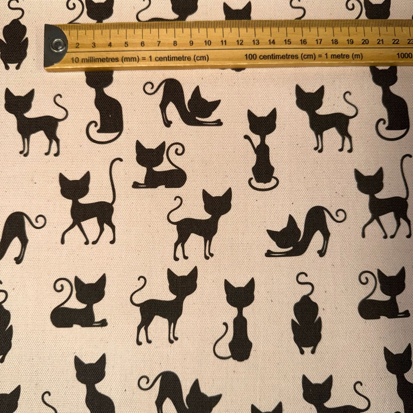 TOILE DECO IMPRIME Chat