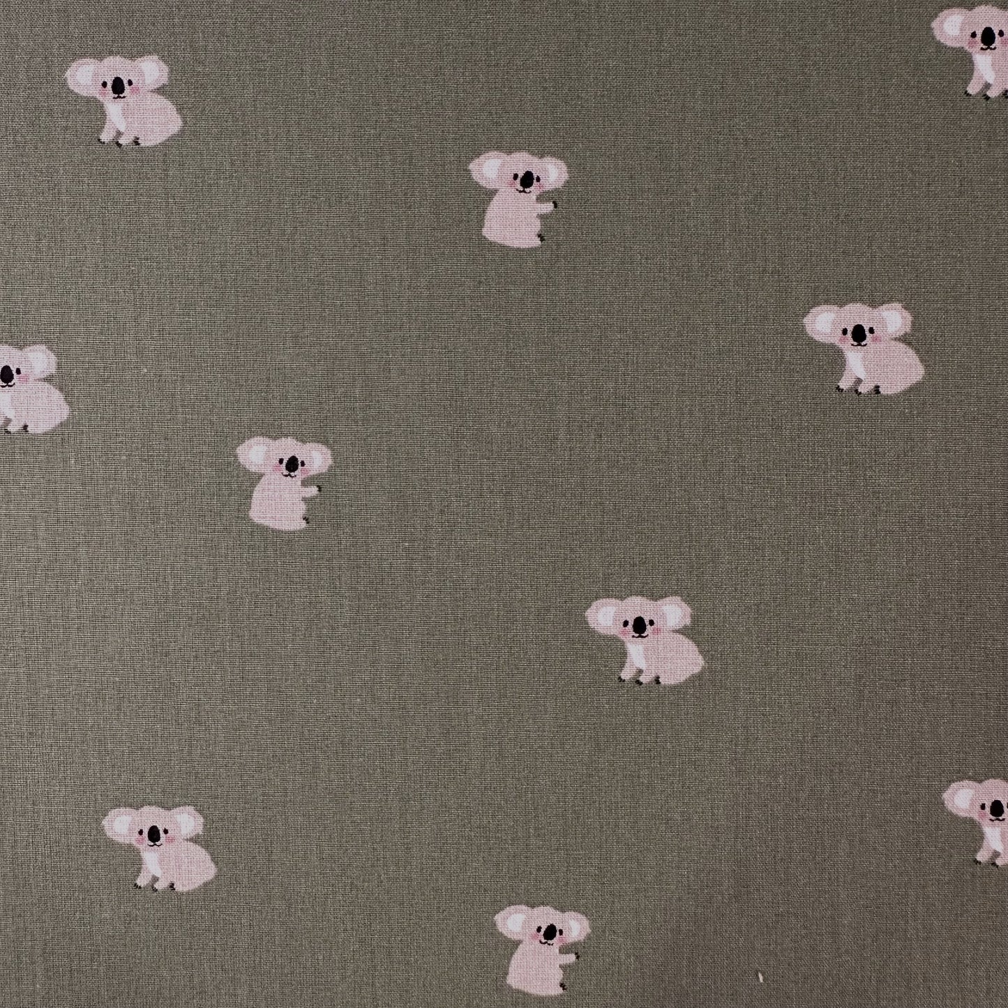 COTON IMPRIME koala