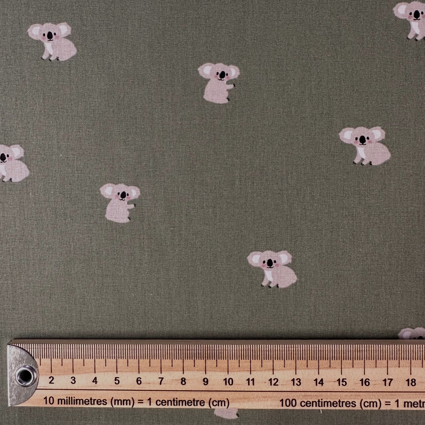 COTON IMPRIME koala