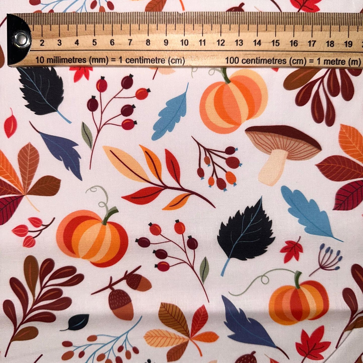 COTON IMPRIME Automne citrouille