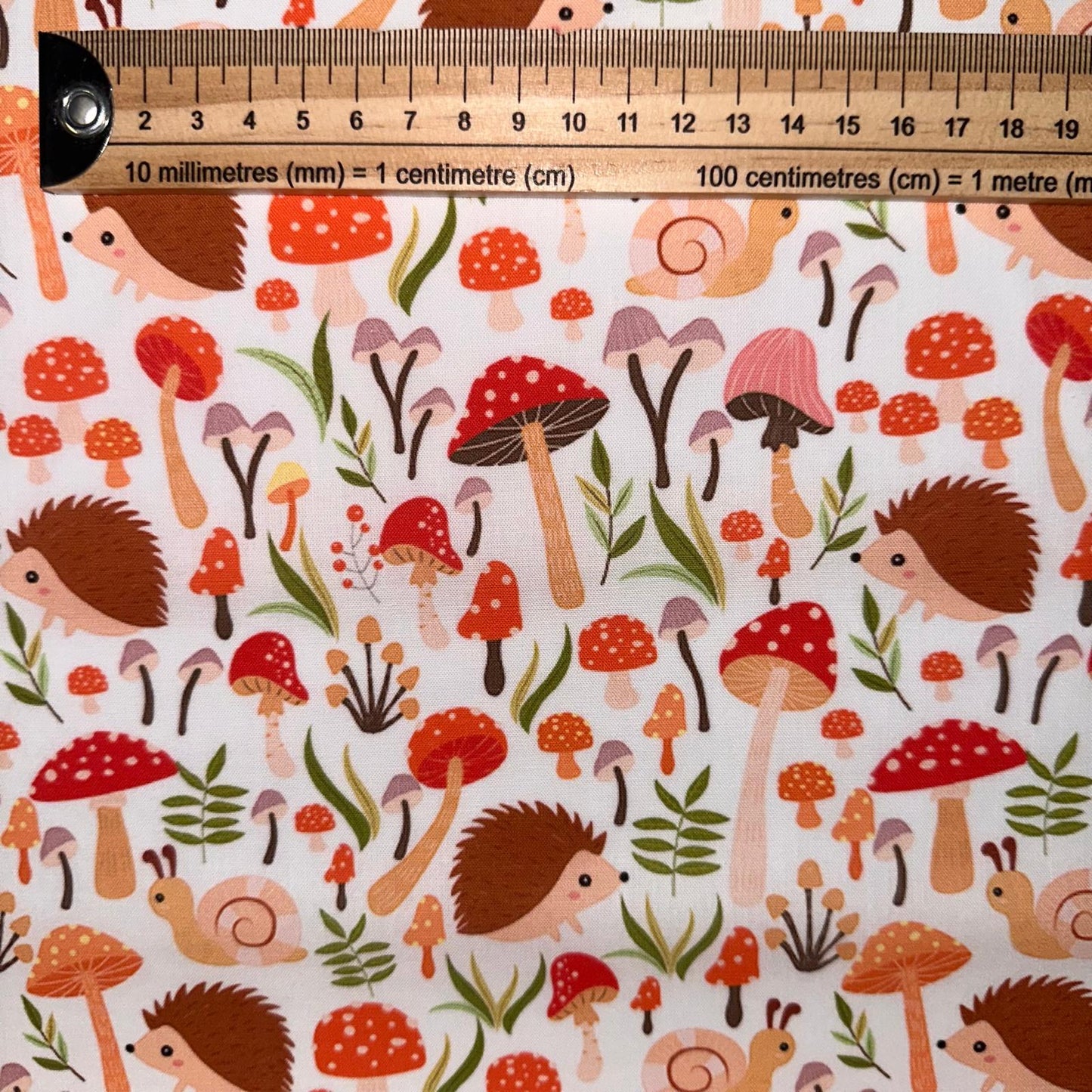 COTON IMPRIME Hérissons et escargots