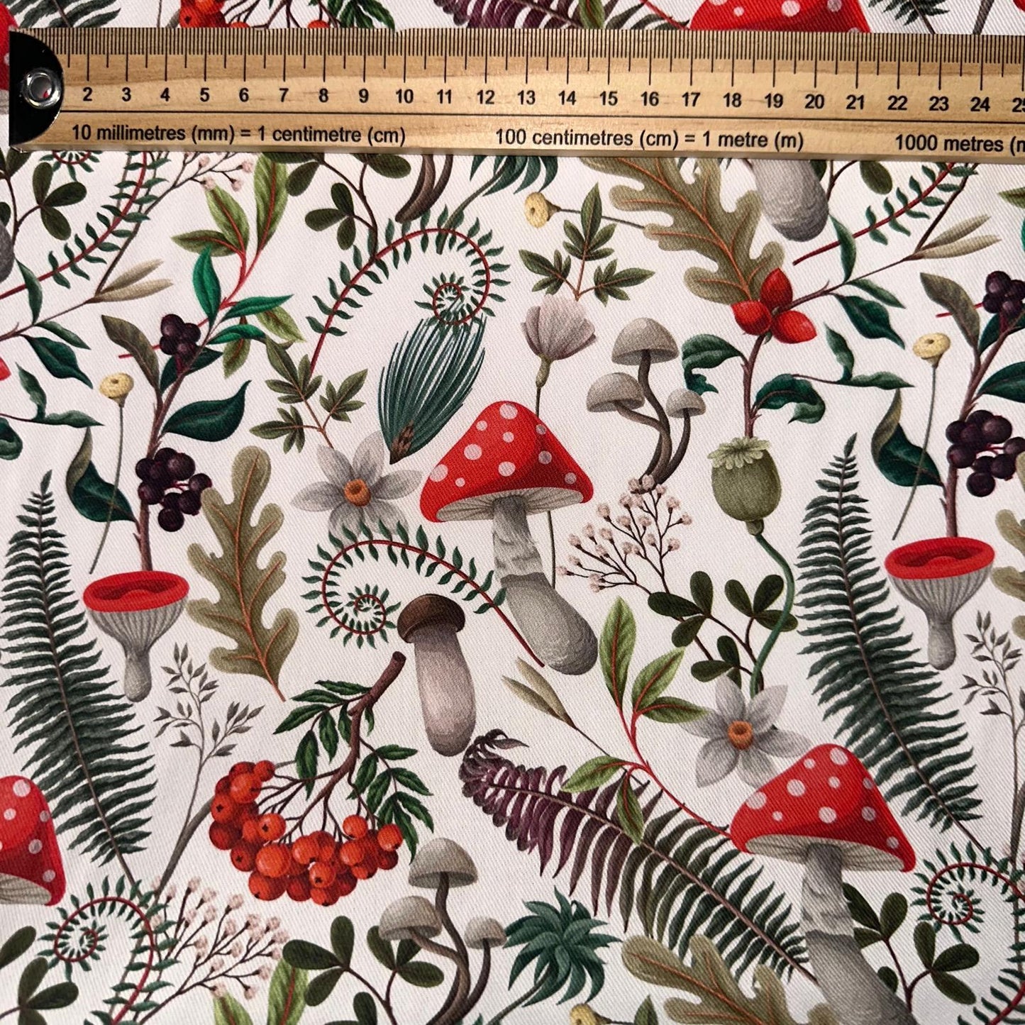 TOILE DECO IMPRIME Champignons de la Forêt