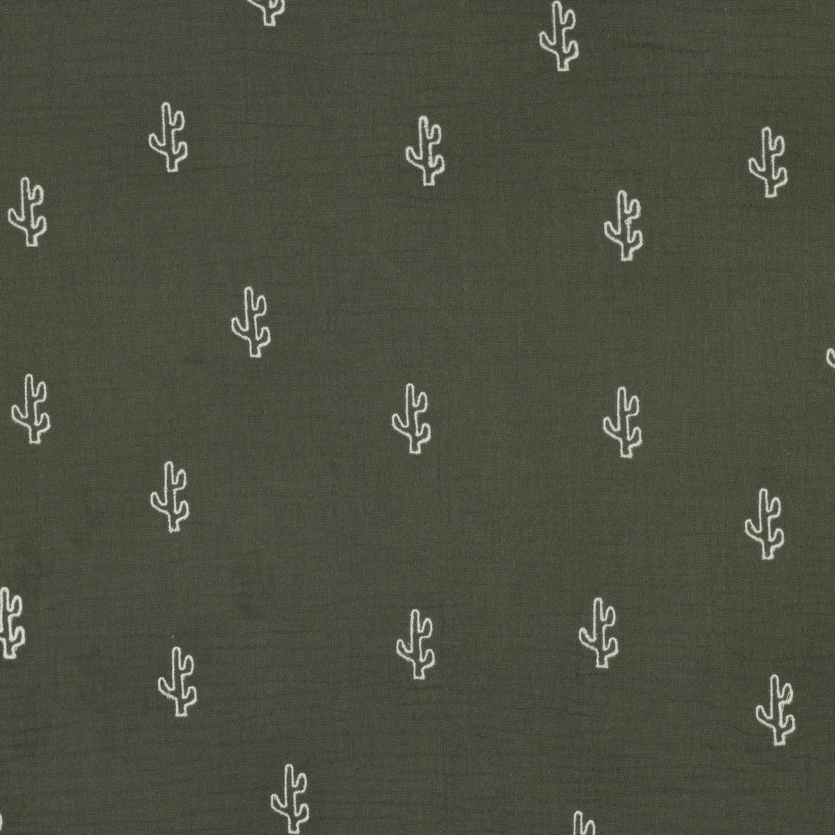 DOUBLE GAZE BRODEE Cactus fond vert