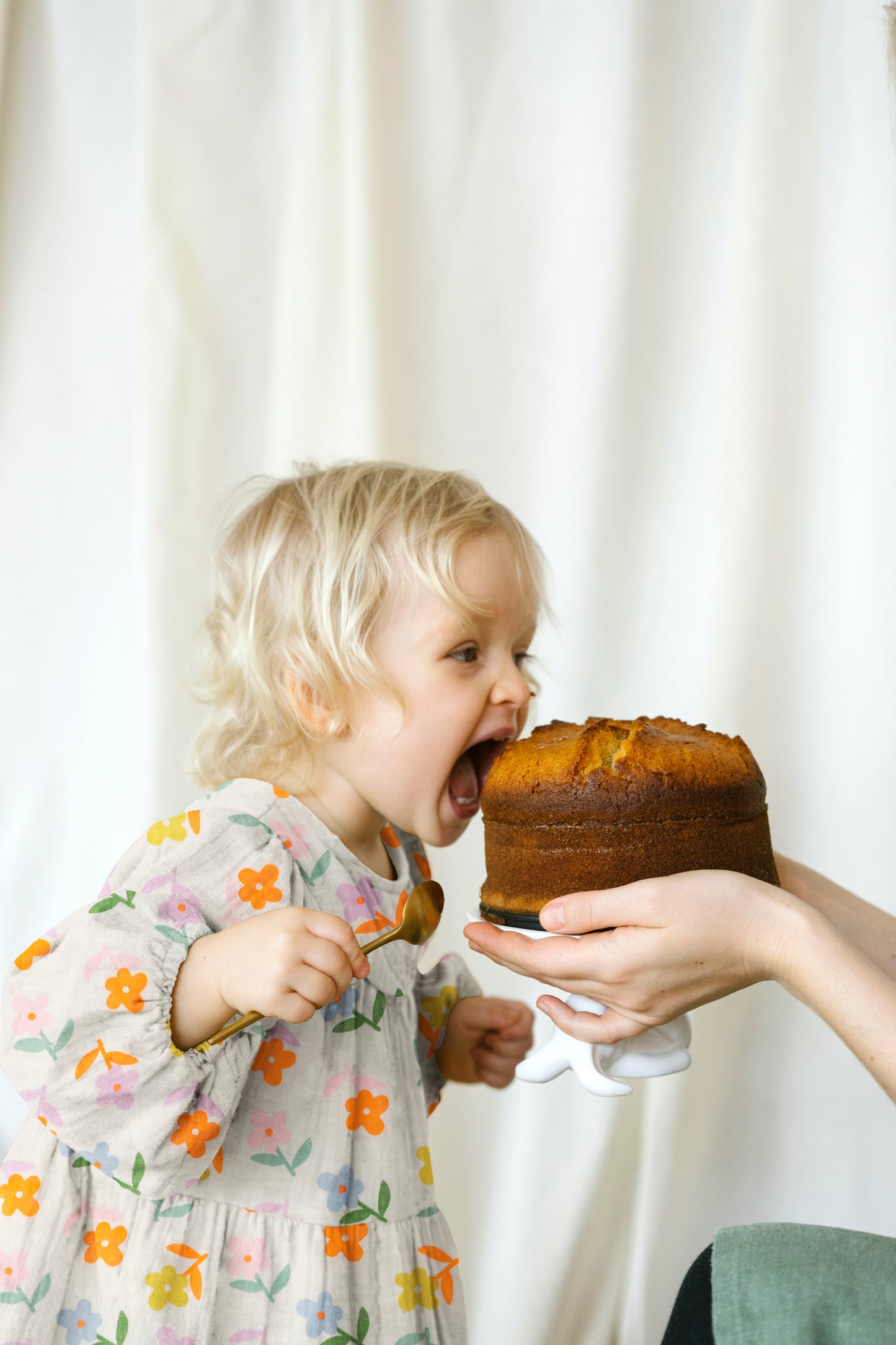 DOUBLE GAZE IMPRIMEE Grandes Fleurs