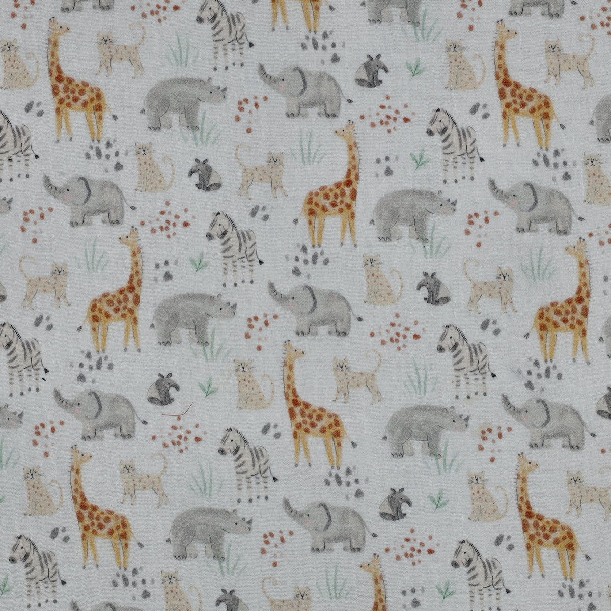 DOUBLE GAZE MOTIF jungle