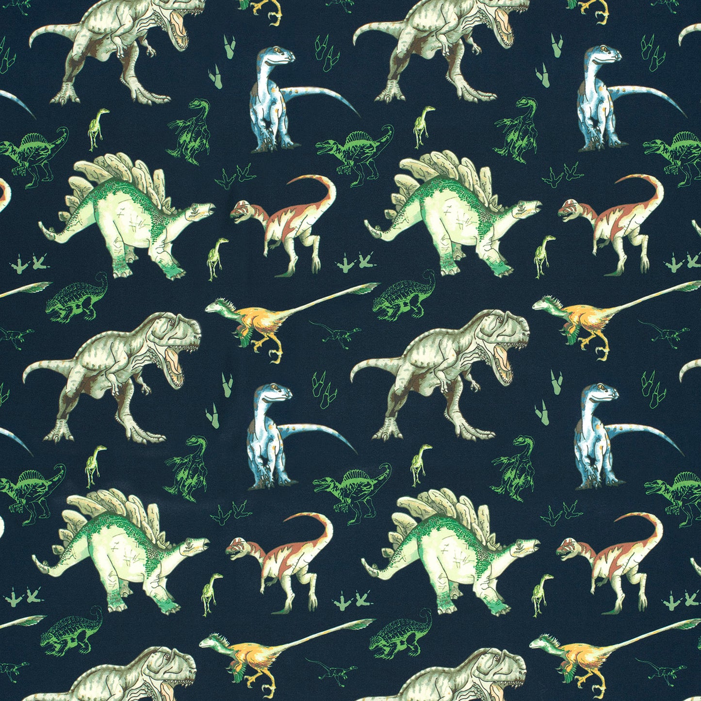 SOFTSHELL IMPERMEABLE IMPRIME Dinosaure fond Marine