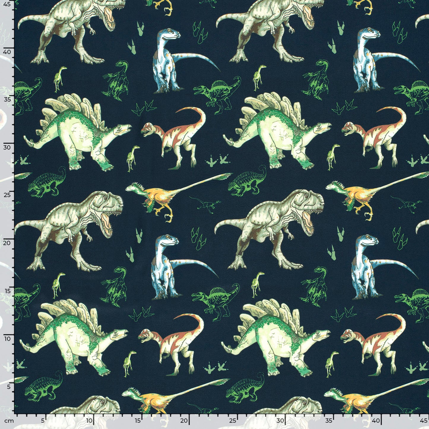 SOFTSHELL IMPERMEABLE IMPRIME Dinosaure fond Marine