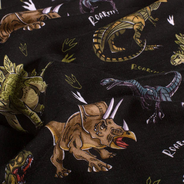 SWEAT FRENCH TERRY IMPRIME Dinosaures