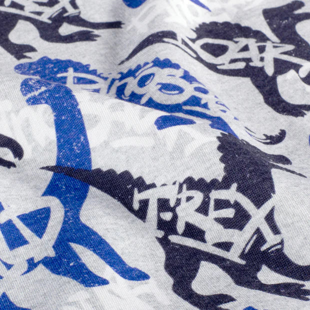 SWEAT GRATTE IMPRIME Dinosaures