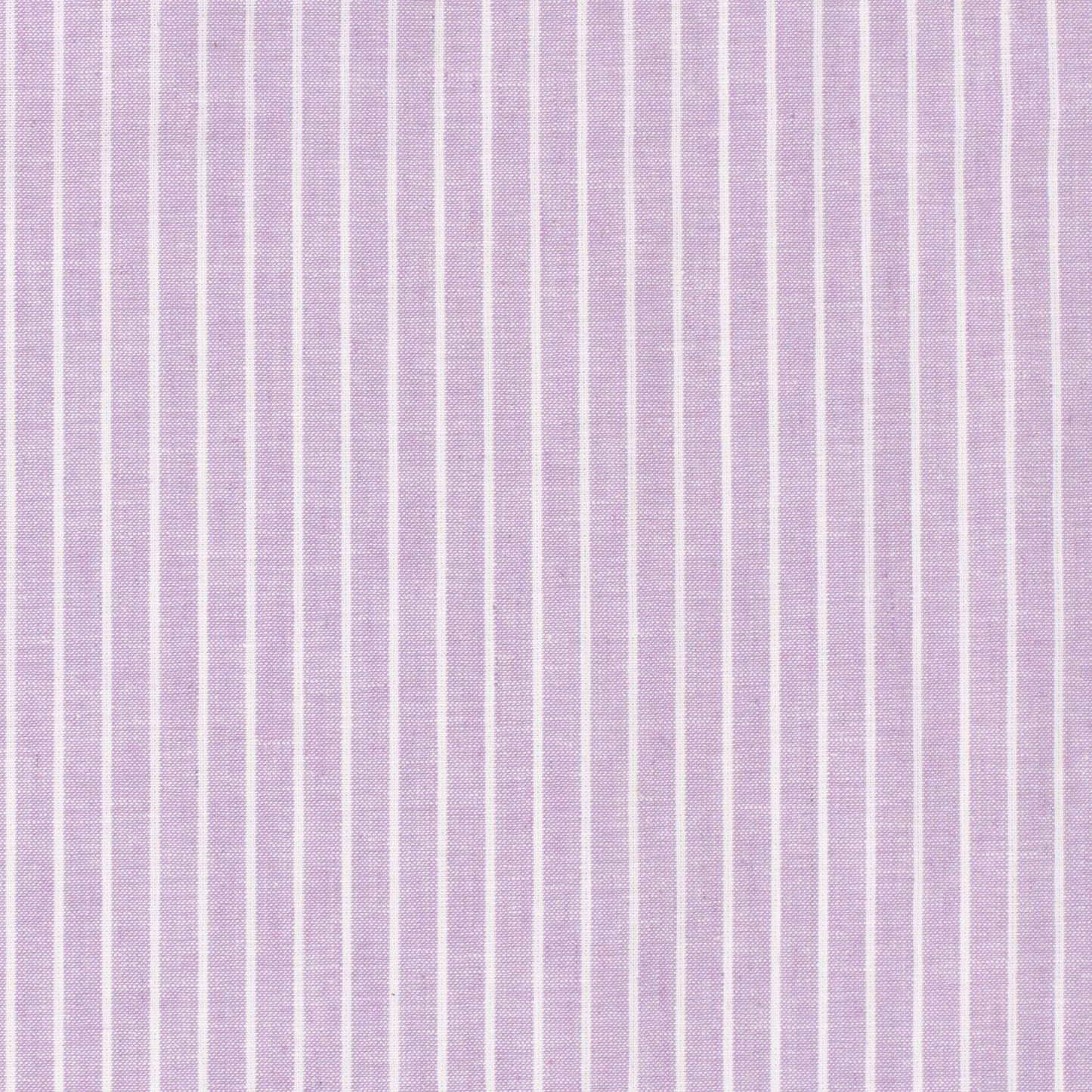 LIN COTON Chambray Grandes rayures fond Parme