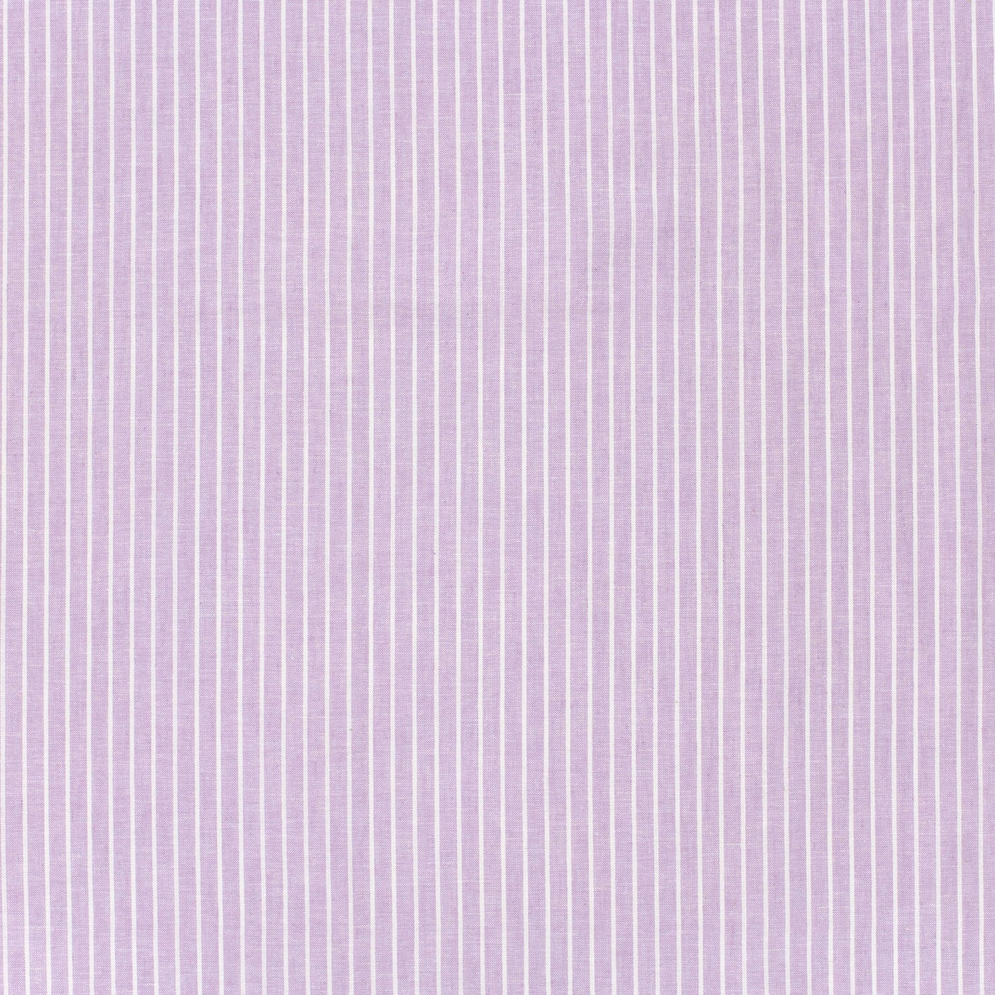 LIN COTON Chambray Grandes rayures fond Parme
