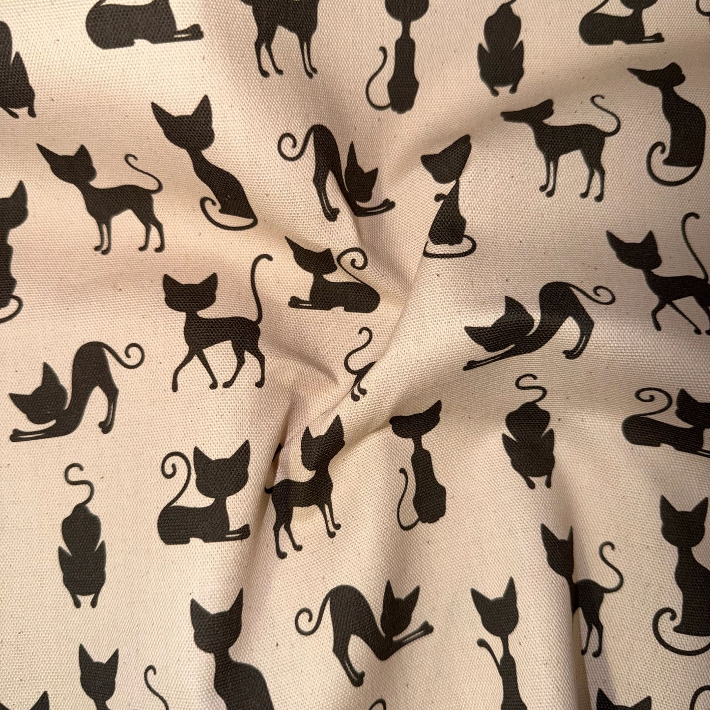 TOILE DECO IMPRIME Chat