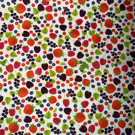 TOILE DECO IMPRIME Fruits