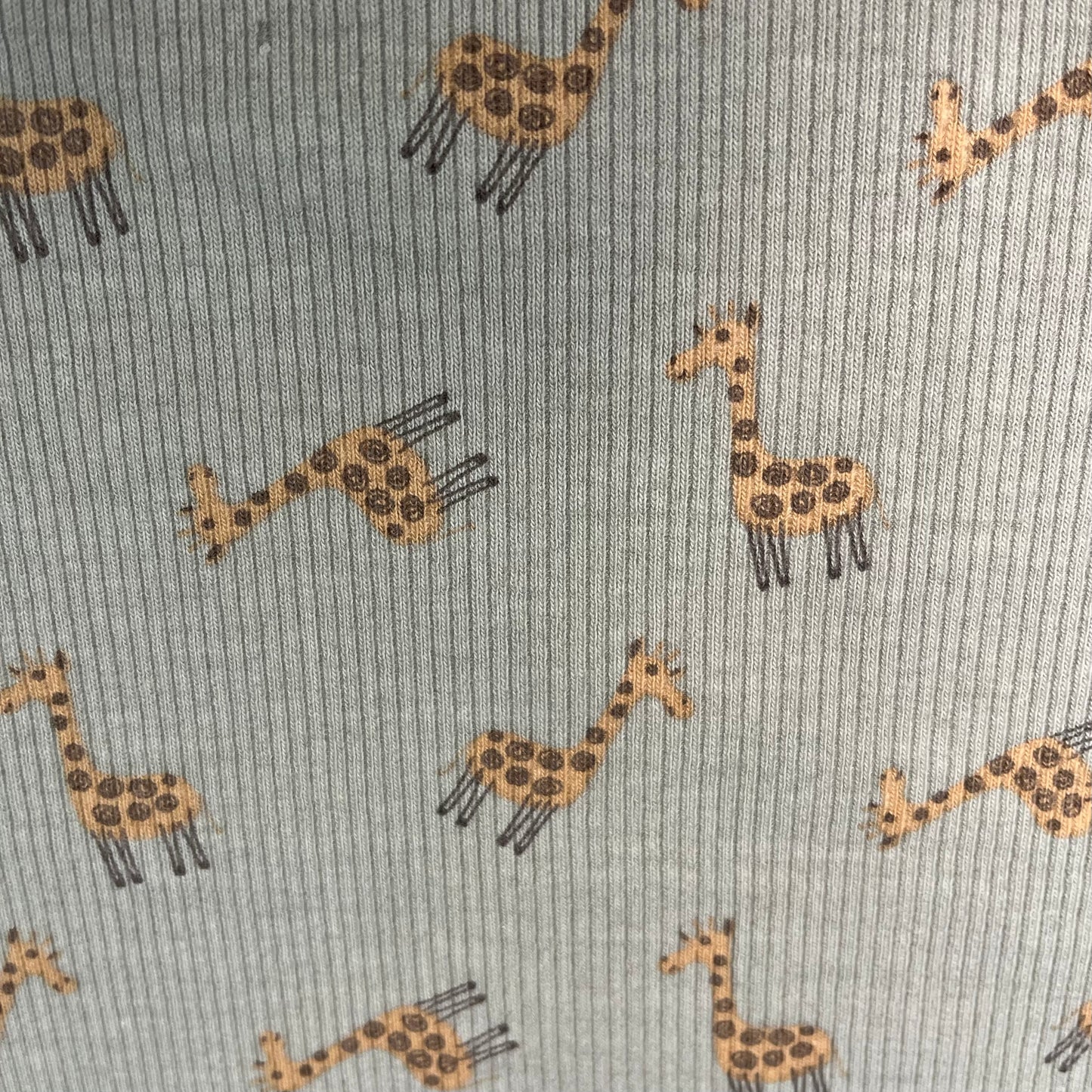 JERSEY COTON COTELE QJUTIE girafe