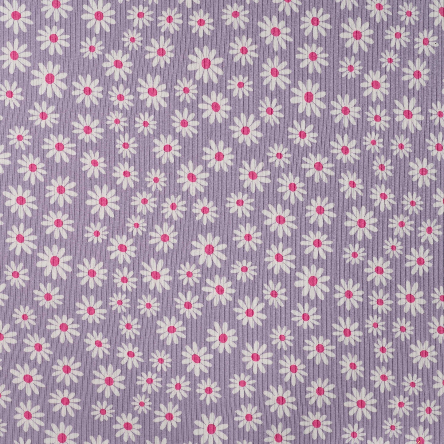 JERSEY COTON COTELE QJUTIE marguerite