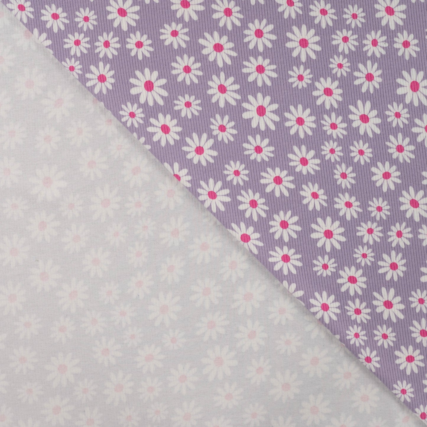 JERSEY COTON COTELE QJUTIE marguerite