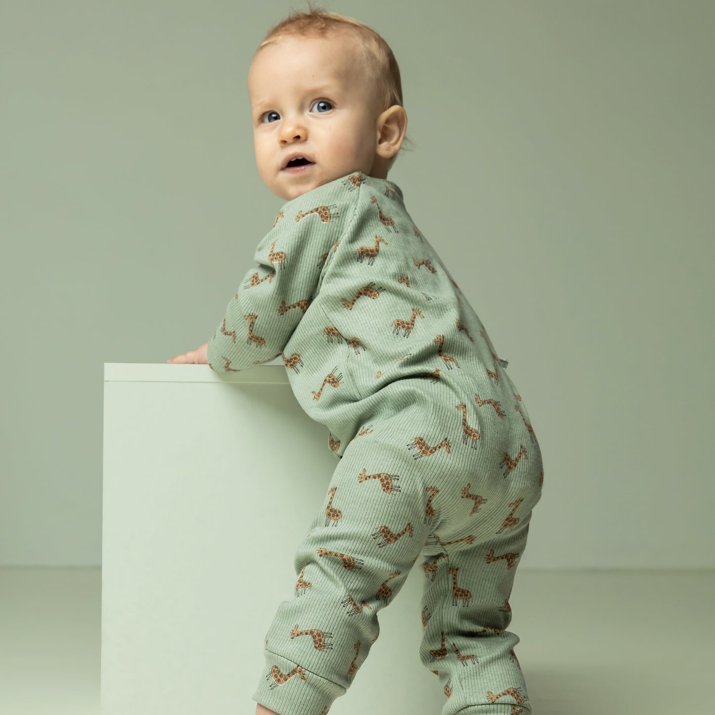 JERSEY COTON COTELE QJUTIE girafe