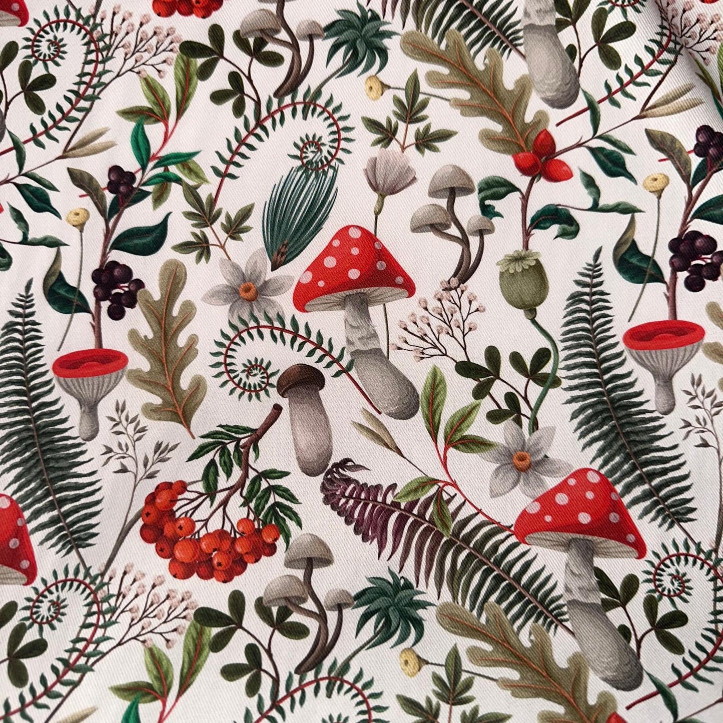 TOILE DECO IMPRIME Champignons de la Forêt